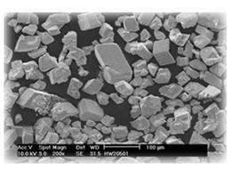 �������u