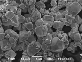 ��������̼���u��