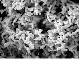 ����(x��)�F�� 