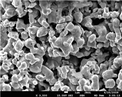  ����(x��)�F��SR-1