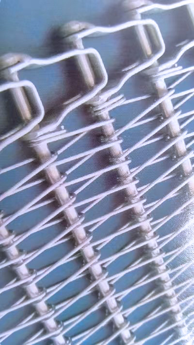 速凍螺旋塔網(wǎng)帶