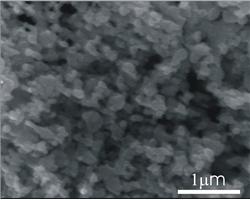 ����Դ�{���y��