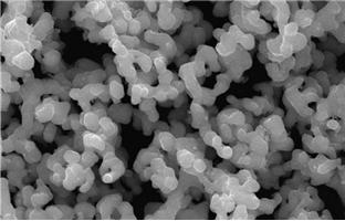 ����(x��)Ⓑ�