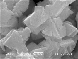 �{���f��