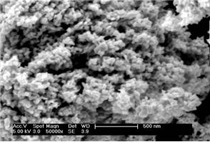 �߻��Լ{���u��