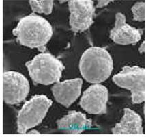 �F���~�a10