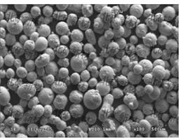 �y�~�Ͻ�� AgCu