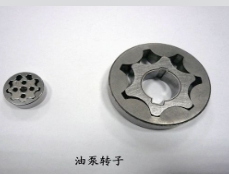 油泵轉(zhuǎn)子
