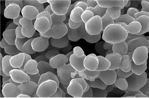 ����(x��)����Ⓑ�